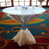 specialty sheer overlay chair cover